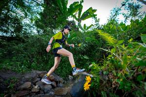 BIB: 107
                            <button type="button" onclick="openModal(15974805)" class="btn btn-primary btn-sm float-right btn-popup" data-toggle="modal" data-target=".modal-high-quality">
                        <i class="fas fa-shopping-cart"></i> Add to Cart
                    </button>
                                            <button type="button" onclick="isThisMe(15974805, true)" class="btn btn-success btn-sm float-right btn-popup btn-isme hidden" data-toggle="tooltip" data-placement="bottom" title="นี่คือรูปของคุณใช่ไหม คลิกที่นี่เพื่อเอาเข้าอัลบั้ม">
                        <i class="fas fa-plus"></i> Add to album
                    </button>
                    <button type="button" onclick="isThisMe(15974805, false)" class="btn btn-warning btn-sm float-right btn-popup btn-isnotme hidden">
                        <i class="fas fa-ban"></i> Remove from album
                    </button>